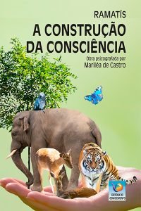 A Construção da Consciência